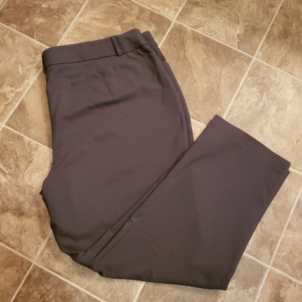 B2G1 The Torie Straight 24W